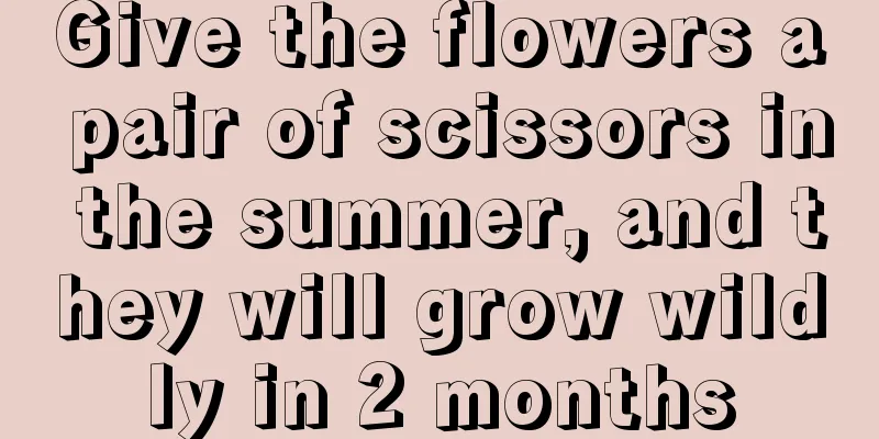 Give the flowers a pair of scissors in the summer, and they will grow wildly in 2 months