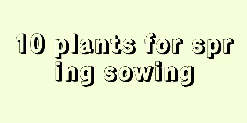 10 plants for spring sowing