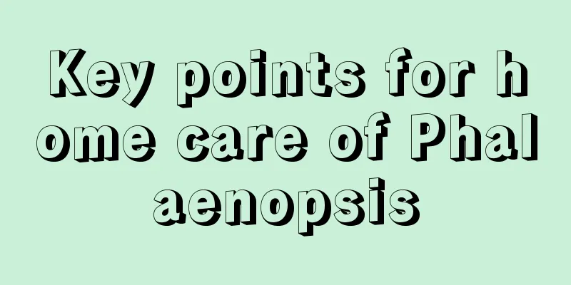 Key points for home care of Phalaenopsis