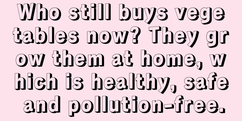 Who still buys vegetables now? They grow them at home, which is healthy, safe and pollution-free.