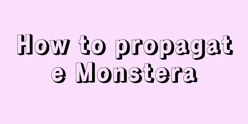 How to propagate Monstera