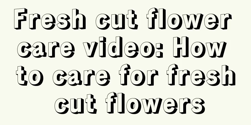 Fresh cut flower care video: How to care for fresh cut flowers