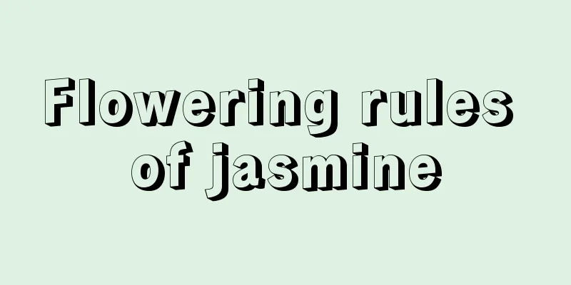 Flowering rules of jasmine