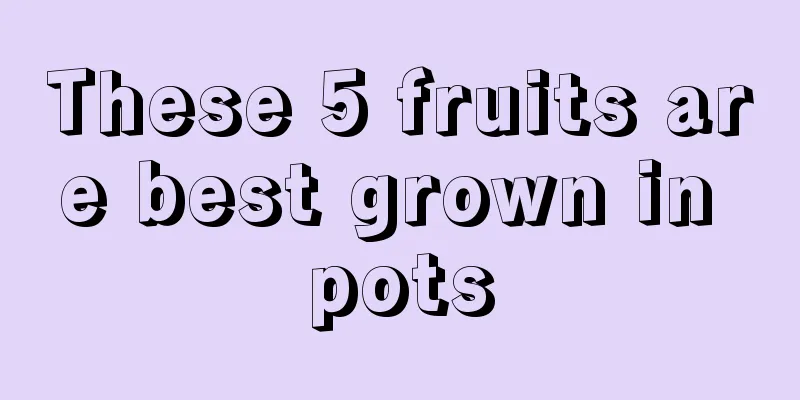 These 5 fruits are best grown in pots