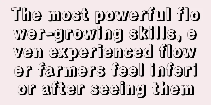 The most powerful flower-growing skills, even experienced flower farmers feel inferior after seeing them