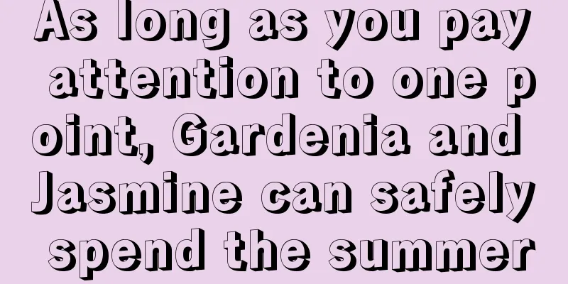 As long as you pay attention to one point, Gardenia and Jasmine can safely spend the summer