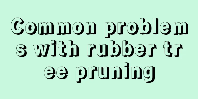 Common problems with rubber tree pruning