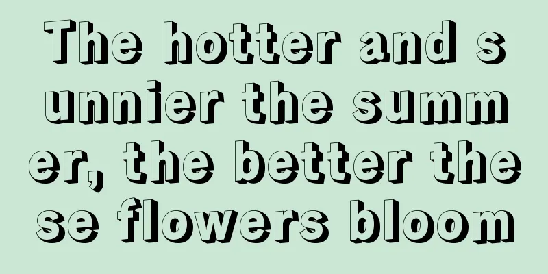 The hotter and sunnier the summer, the better these flowers bloom