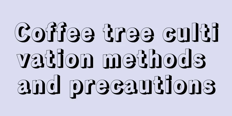 Coffee tree cultivation methods and precautions