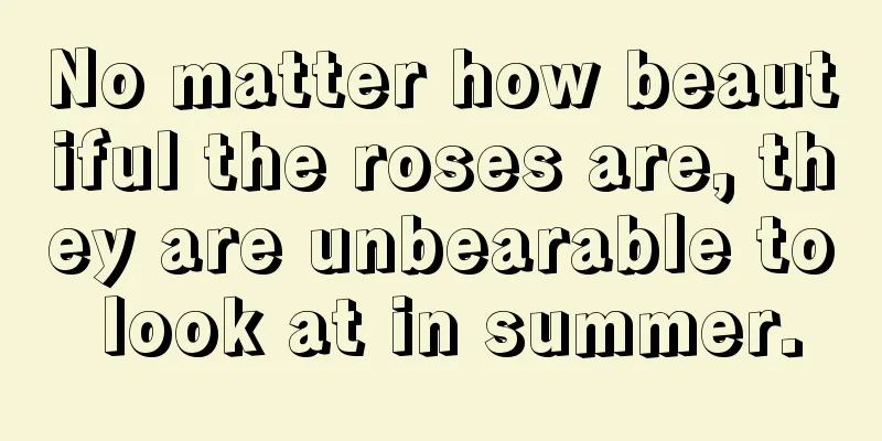 No matter how beautiful the roses are, they are unbearable to look at in summer.