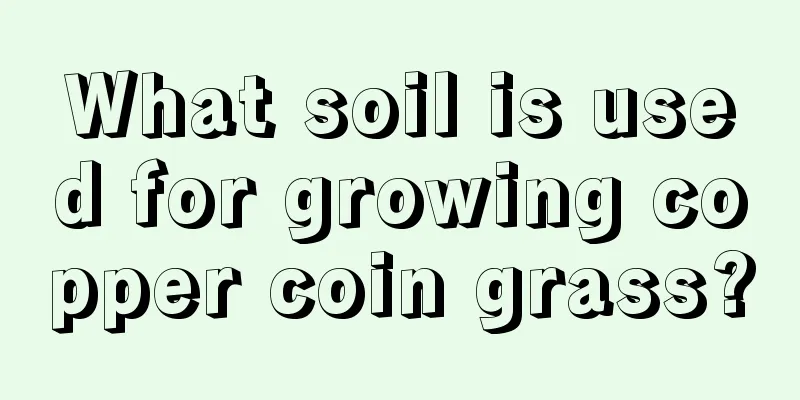 What soil is used for growing copper coin grass?