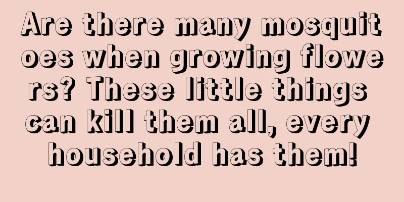 Are there many mosquitoes when growing flowers? These little things can kill them all, every household has them!