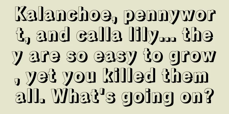 Kalanchoe, pennywort, and calla lily... they are so easy to grow, yet you killed them all. What's going on?