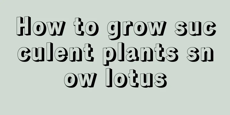 How to grow succulent plants snow lotus