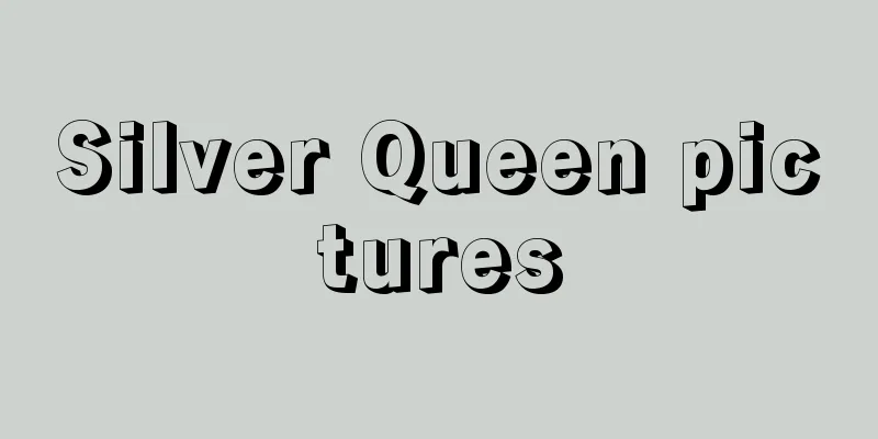 Silver Queen pictures