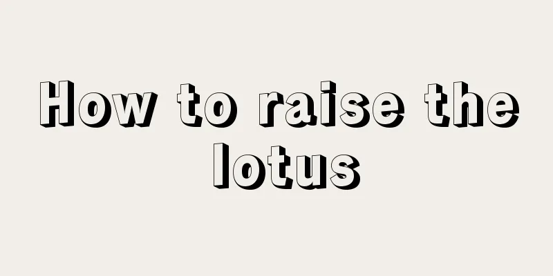 How to raise the lotus