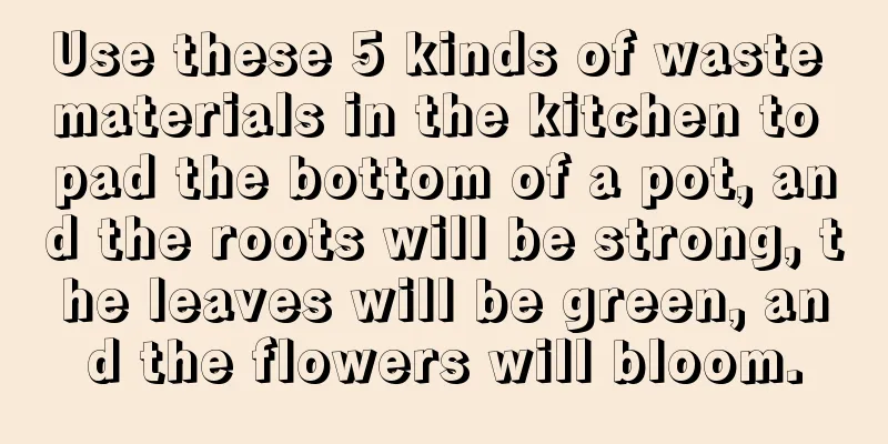 Use these 5 kinds of waste materials in the kitchen to pad the bottom of a pot, and the roots will be strong, the leaves will be green, and the flowers will bloom.