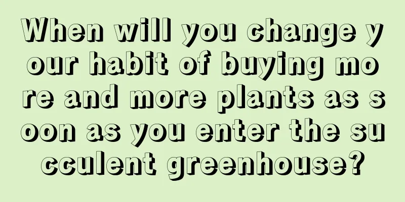 When will you change your habit of buying more and more plants as soon as you enter the succulent greenhouse?