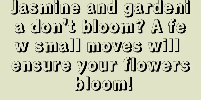 Jasmine and gardenia don’t bloom? A few small moves will ensure your flowers bloom!