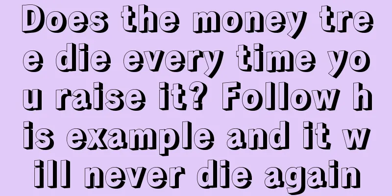 Does the money tree die every time you raise it? Follow his example and it will never die again