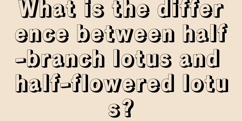 What is the difference between half-branch lotus and half-flowered lotus?