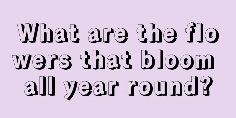 What are the flowers that bloom all year round?