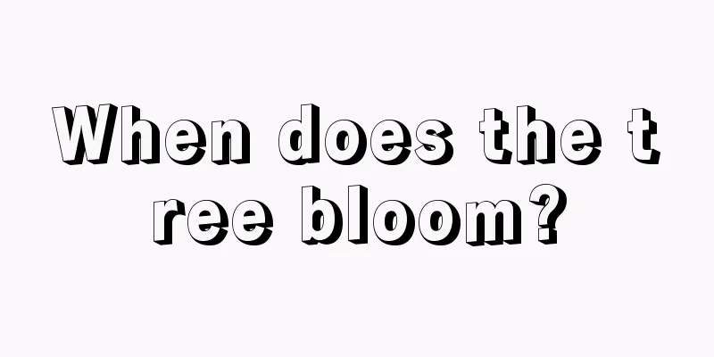 When does the tree bloom?