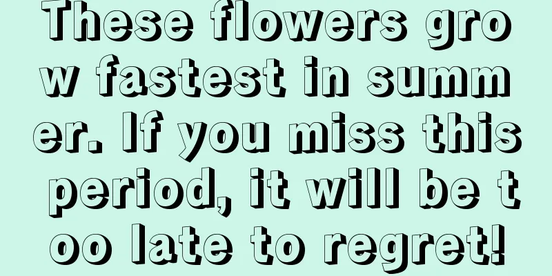 These flowers grow fastest in summer. If you miss this period, it will be too late to regret!