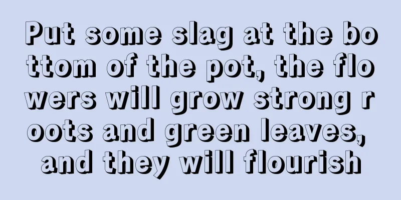 Put some slag at the bottom of the pot, the flowers will grow strong roots and green leaves, and they will flourish