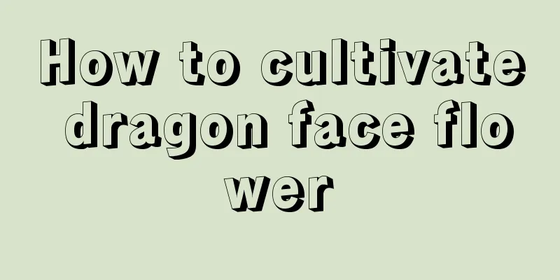 How to cultivate dragon face flower