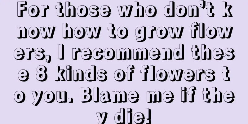 For those who don’t know how to grow flowers, I recommend these 8 kinds of flowers to you. Blame me if they die!