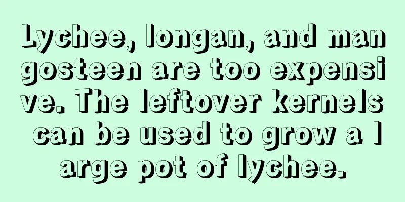 Lychee, longan, and mangosteen are too expensive. The leftover kernels can be used to grow a large pot of lychee.