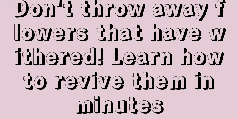 Don't throw away flowers that have withered! Learn how to revive them in minutes