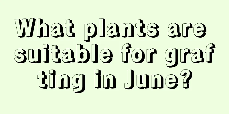 What plants are suitable for grafting in June?