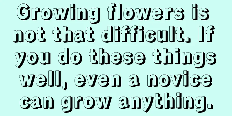 Growing flowers is not that difficult. If you do these things well, even a novice can grow anything.