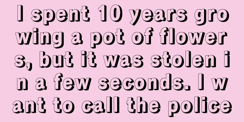 I spent 10 years growing a pot of flowers, but it was stolen in a few seconds. I want to call the police