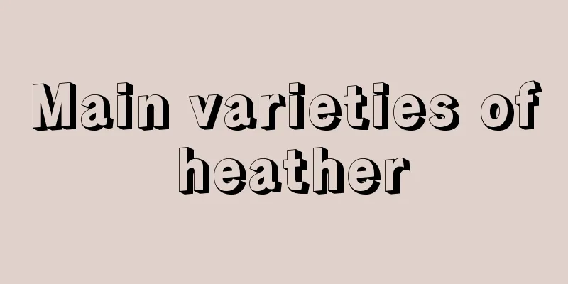 Main varieties of heather