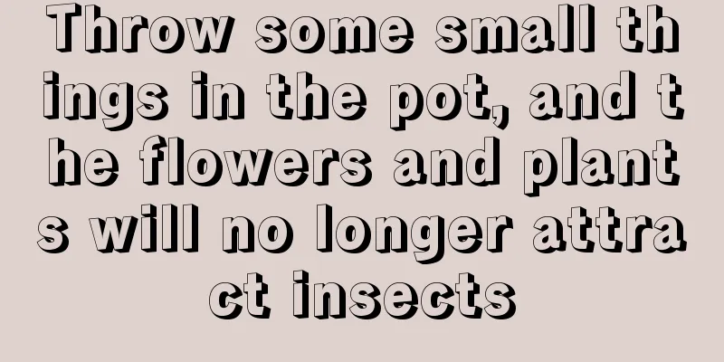 Throw some small things in the pot, and the flowers and plants will no longer attract insects