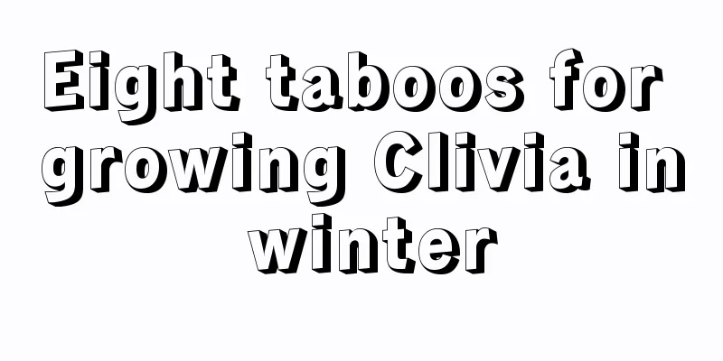 Eight taboos for growing Clivia in winter