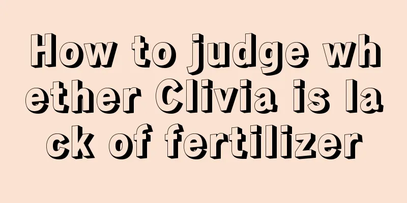 How to judge whether Clivia is lack of fertilizer