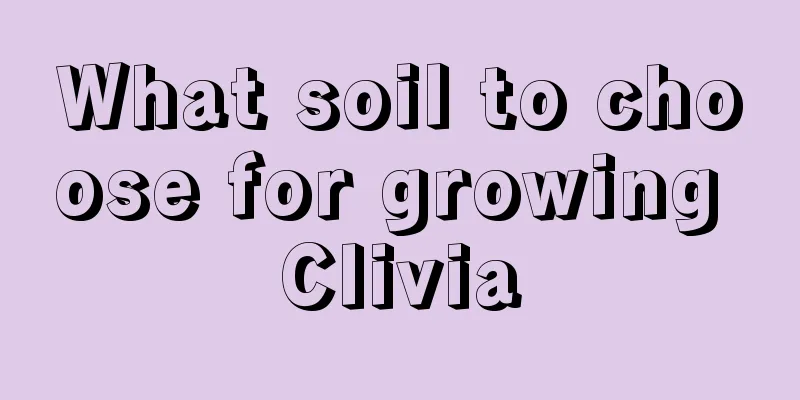 What soil to choose for growing Clivia