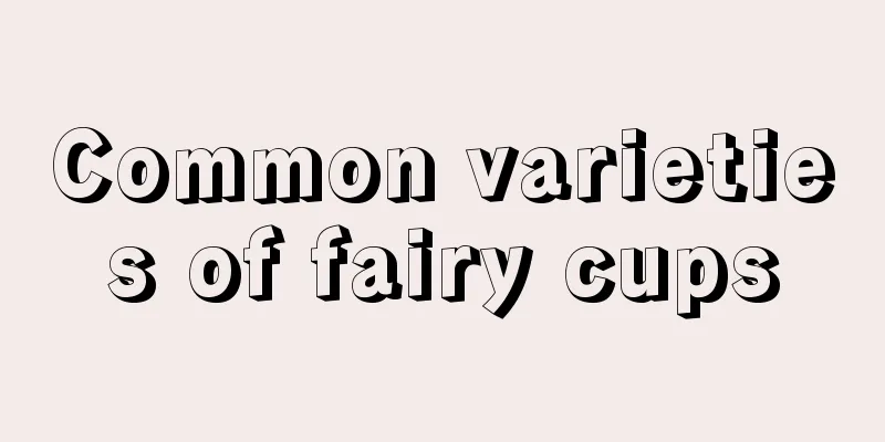 Common varieties of fairy cups