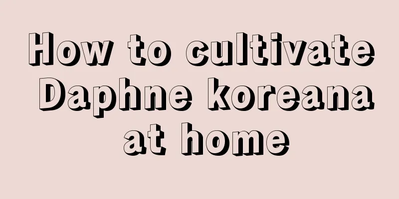 How to cultivate Daphne koreana at home