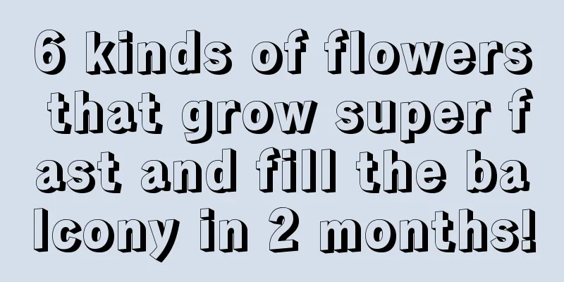 6 kinds of flowers that grow super fast and fill the balcony in 2 months!