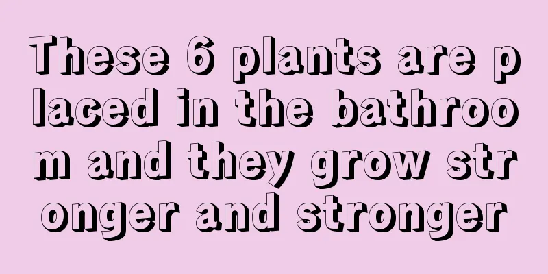 These 6 plants are placed in the bathroom and they grow stronger and stronger