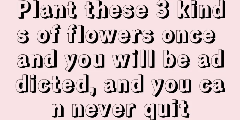 Plant these 3 kinds of flowers once and you will be addicted, and you can never quit