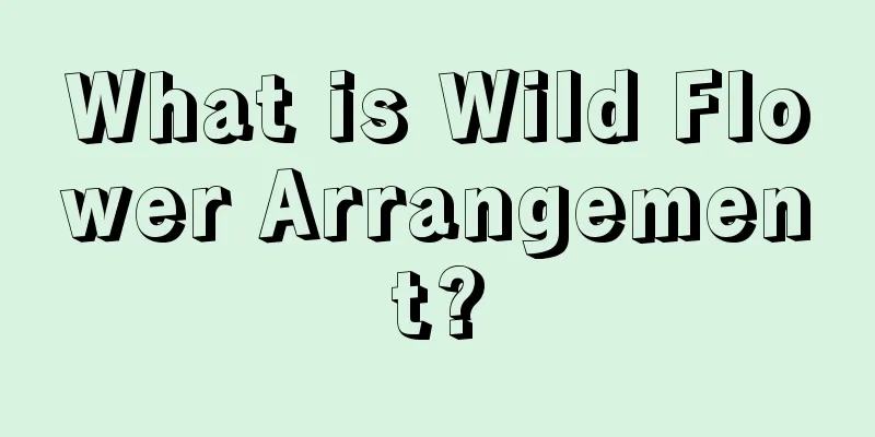 What is Wild Flower Arrangement?