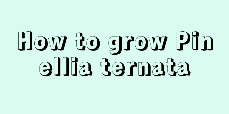 How to grow Pinellia ternata