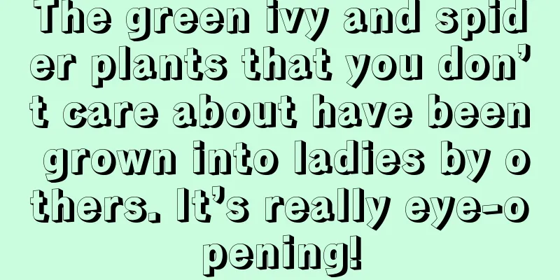 The green ivy and spider plants that you don’t care about have been grown into ladies by others. It’s really eye-opening!