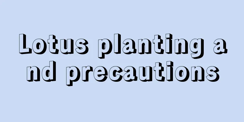 Lotus planting and precautions